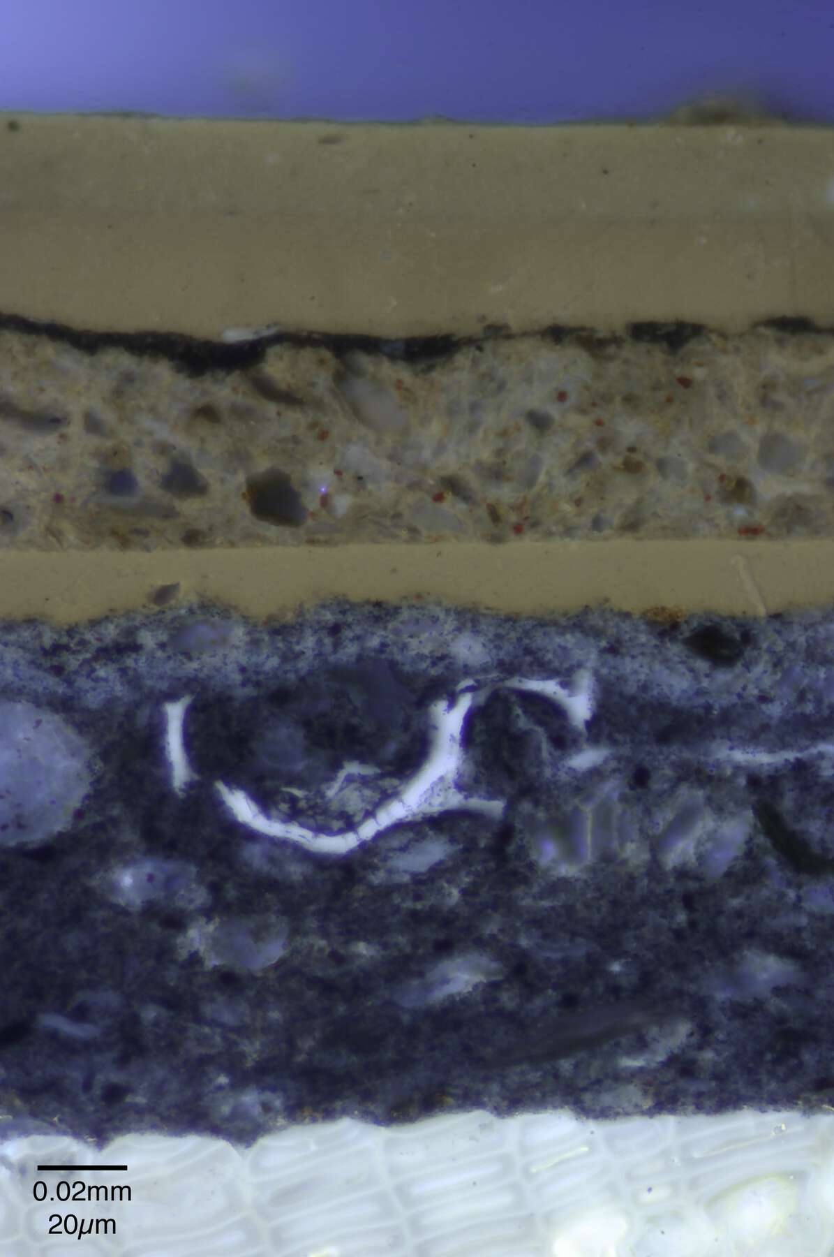 photomicrograph of the ground used in one of the cabinets, shown as striations in various shades of beige, brown, blue, and white
