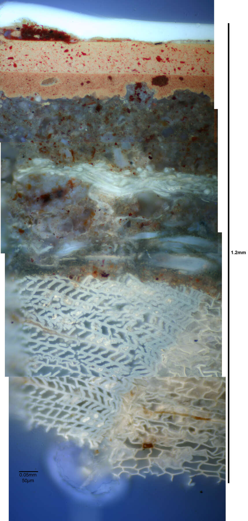 long vertical image made up of smaller horizontal photographs showing the various shades of blue, white, brown, beige and textures in the multi-layered lacquer as seen under UV light